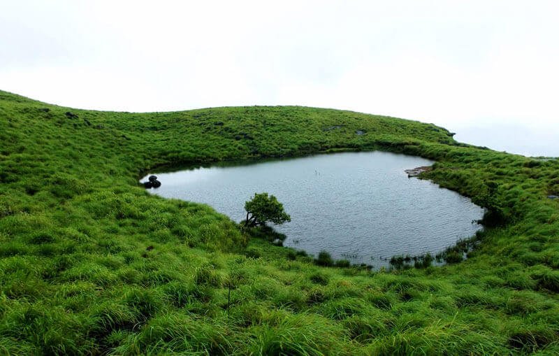 Chembra peak : 24 kms