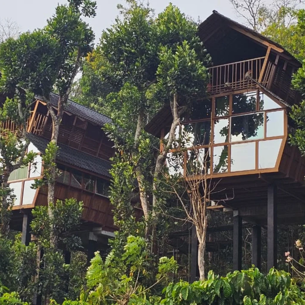Tree House Wayanad