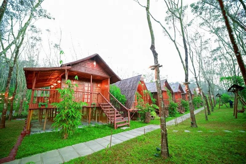 Bali bamboo