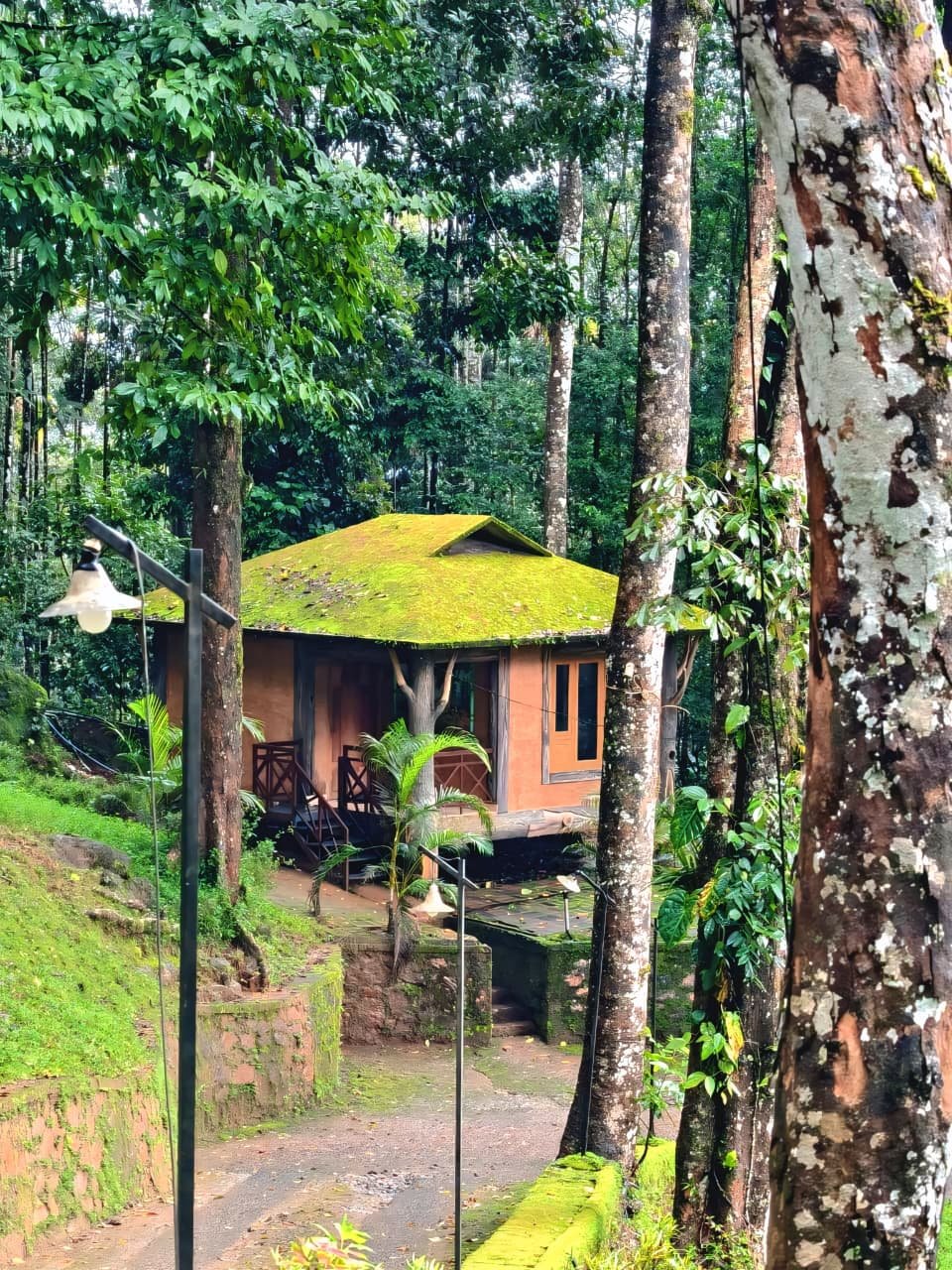 DELUXE COTTAGES WITH BREAK FAST