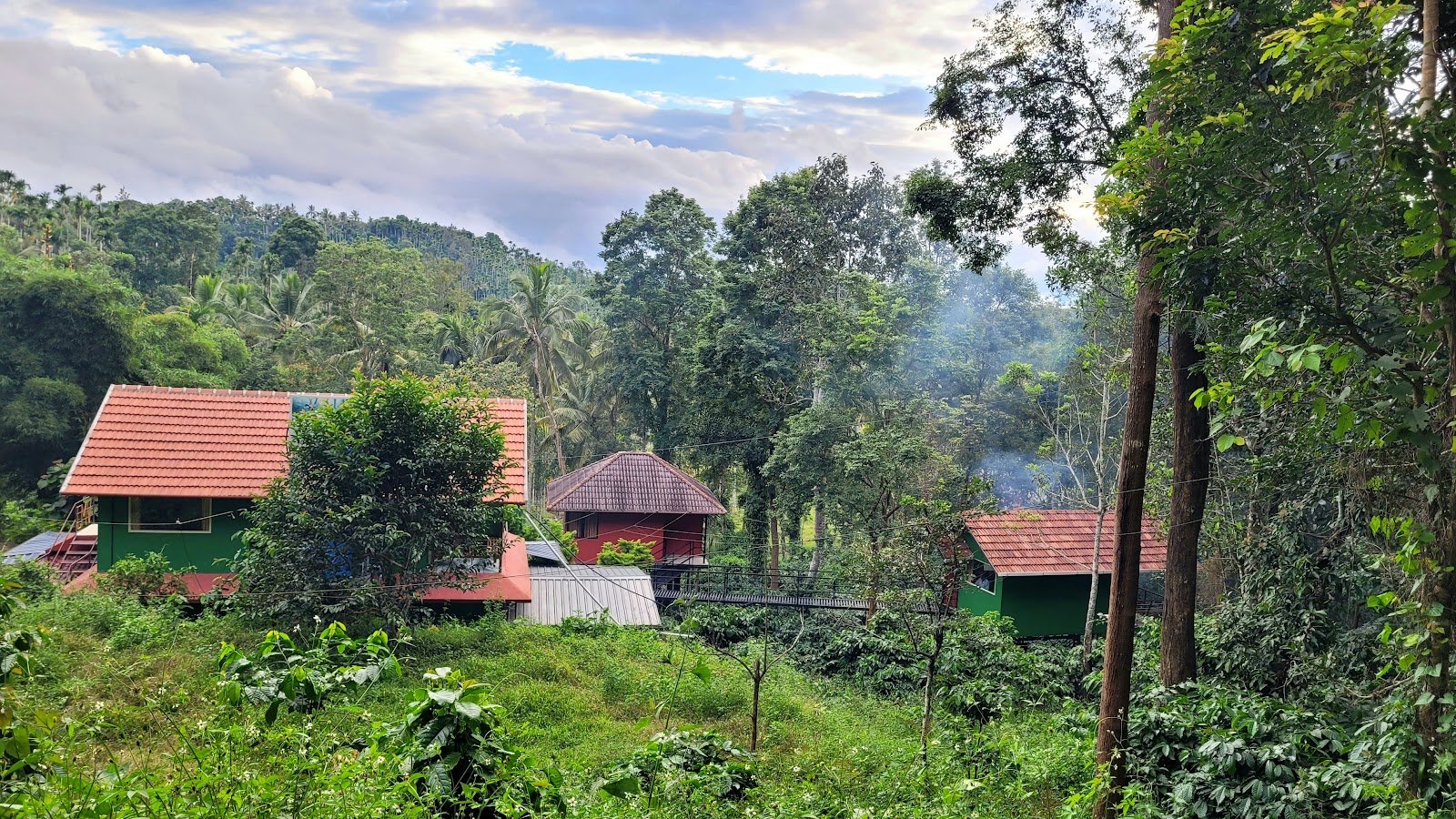 VMJ Wild Stay Wayanad