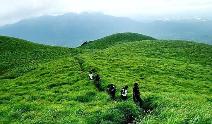 Best Time to Visit Wayanad: A Complete Season Guide for Travellers