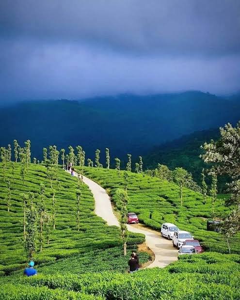വയനാടിന്റെ മറഞ്ഞിരിക്കുന്ന വിനോദസഞ്ചാര കേന്ദ്രങ്ങൾ കണ്ടെത്താൻ 'Experimental Tourism' വിഭാഗവുമായി Wayanad Book